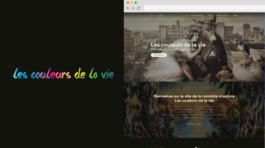 realisation-julien-erny-spectactle-les-couleurs-de-la-vie-tek-preferences-web-agency